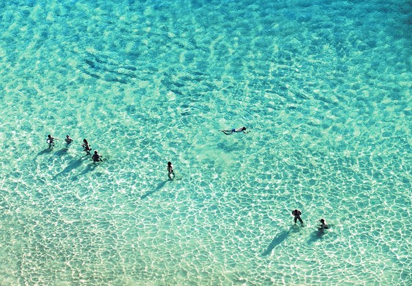 Tham quan thiên đường Fernando de Noronha, Brazil 